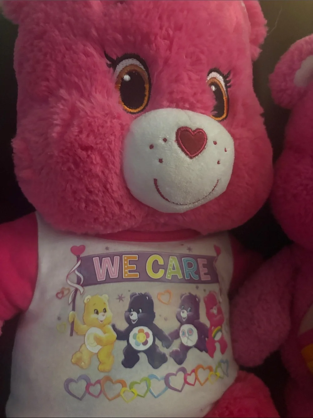 Care Bears Bright Pink Plush Pair - Rainbow & 'We Care' Designs